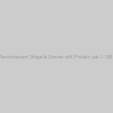 Image of Recombinant Shigella Sonnei citX Protein (aa 1-183)